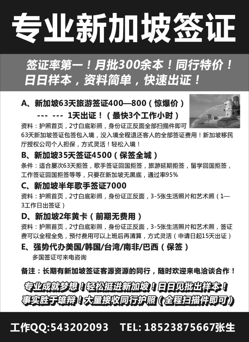 n163 新加坡签证（最快三小时出证）