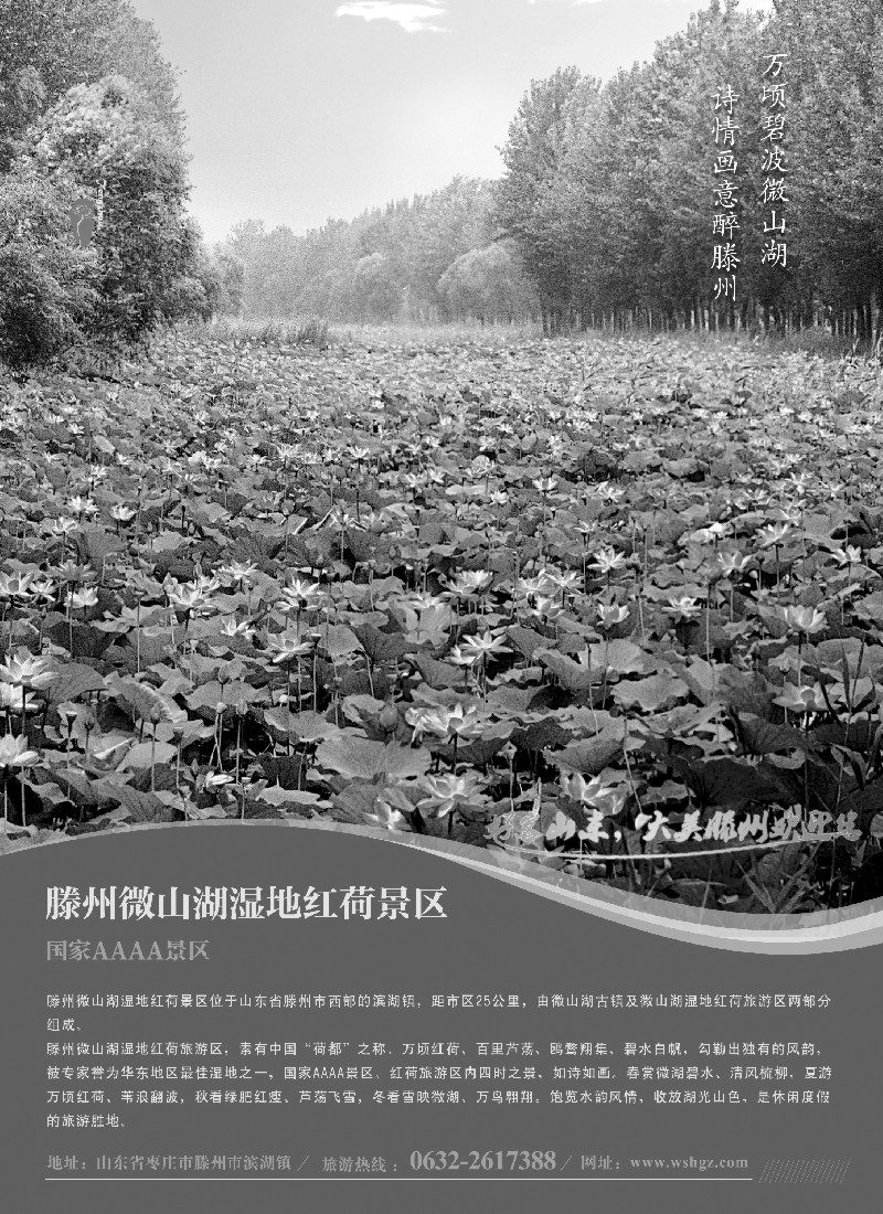 n83 山东省滕州市微山湖湿地红荷风景区