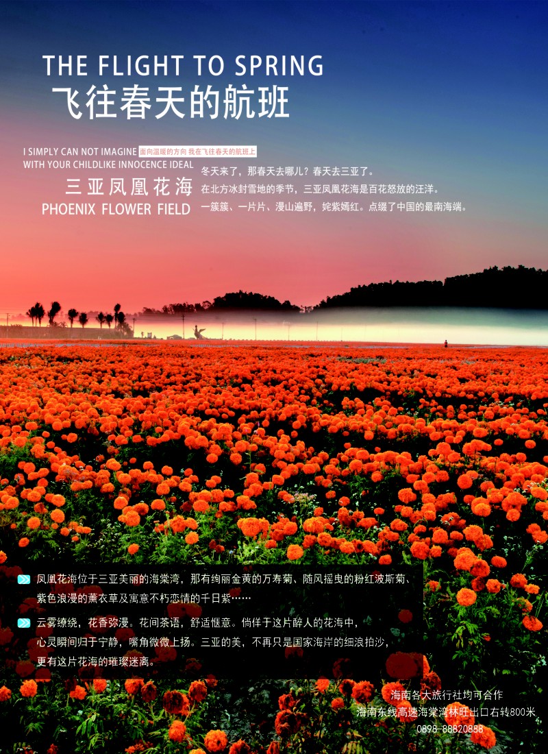 n彩9三亚凤凰花海