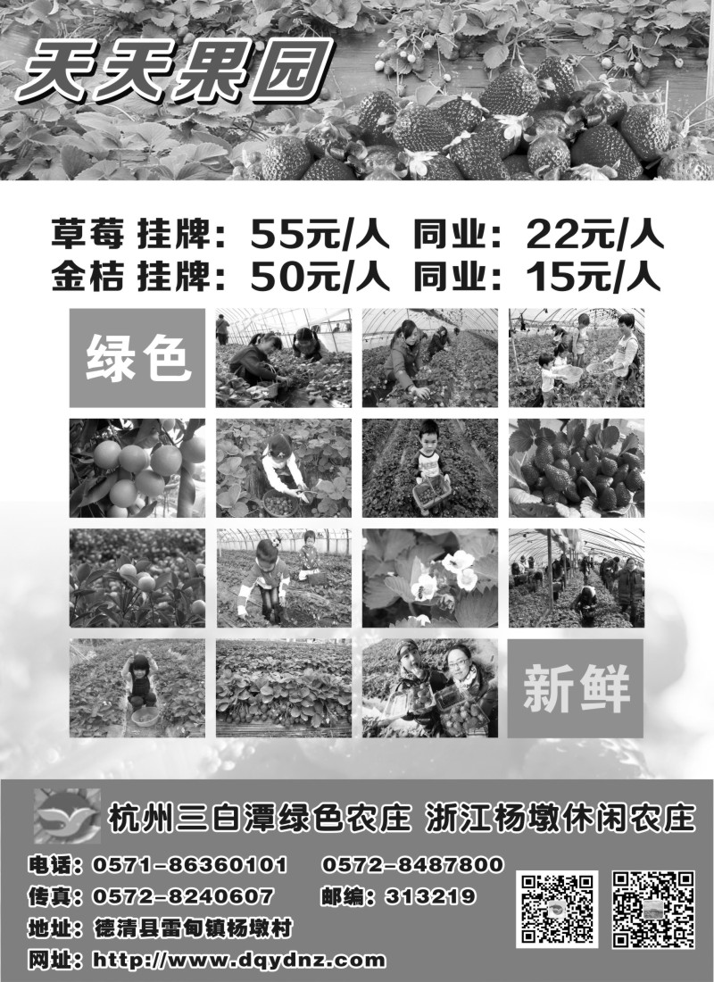n17 杨墩休闲农庄