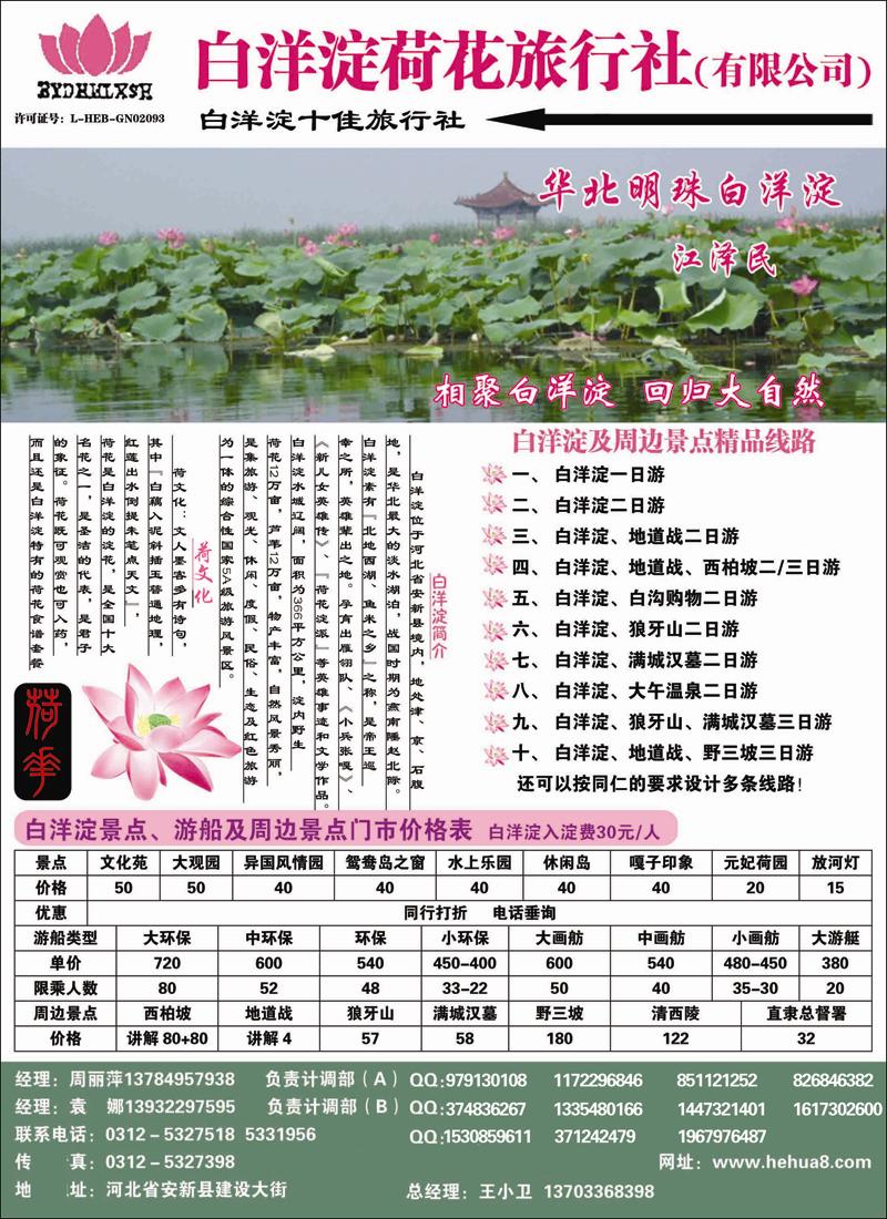 白洋淀荷花