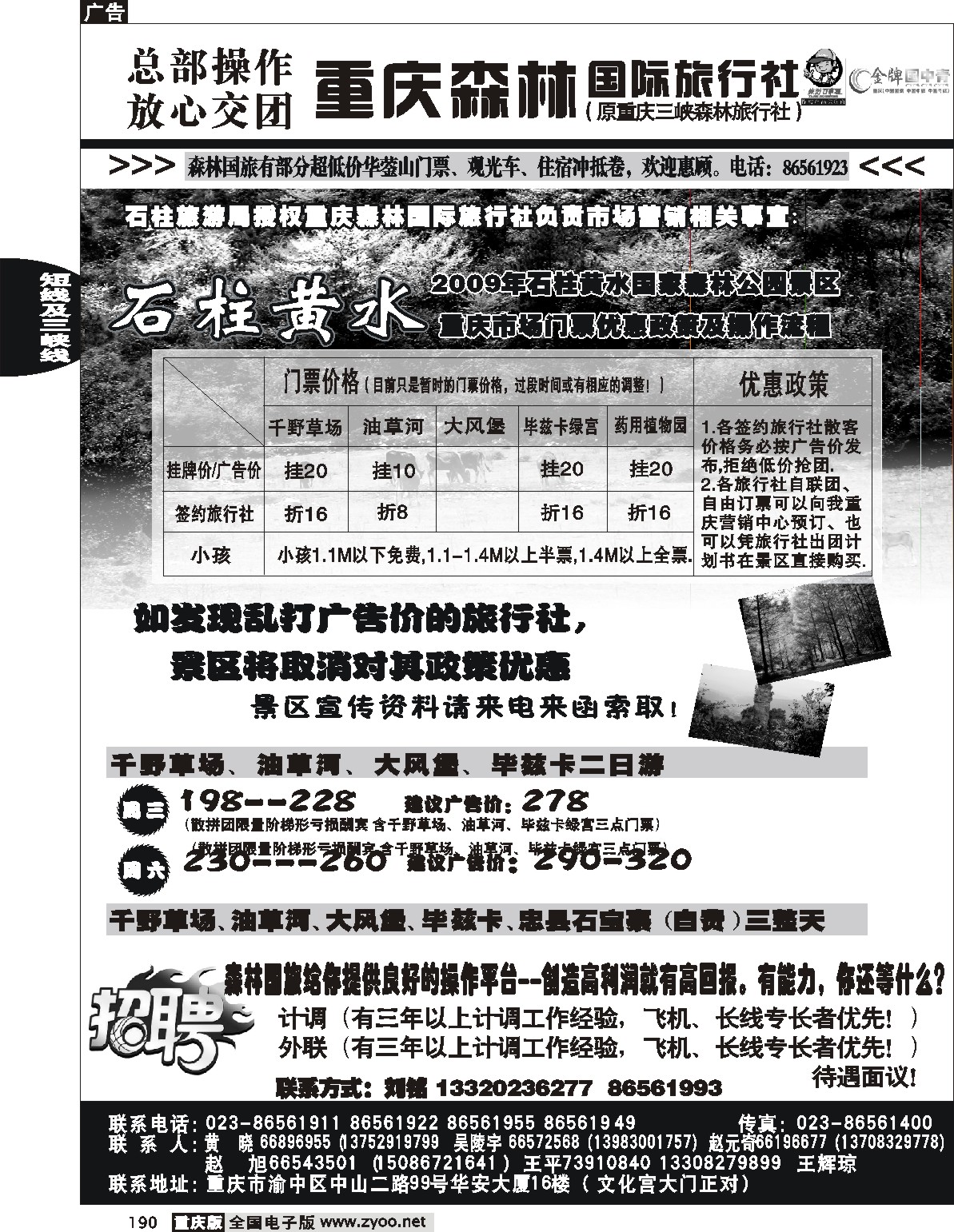 190  244期  重庆森林国际旅3
