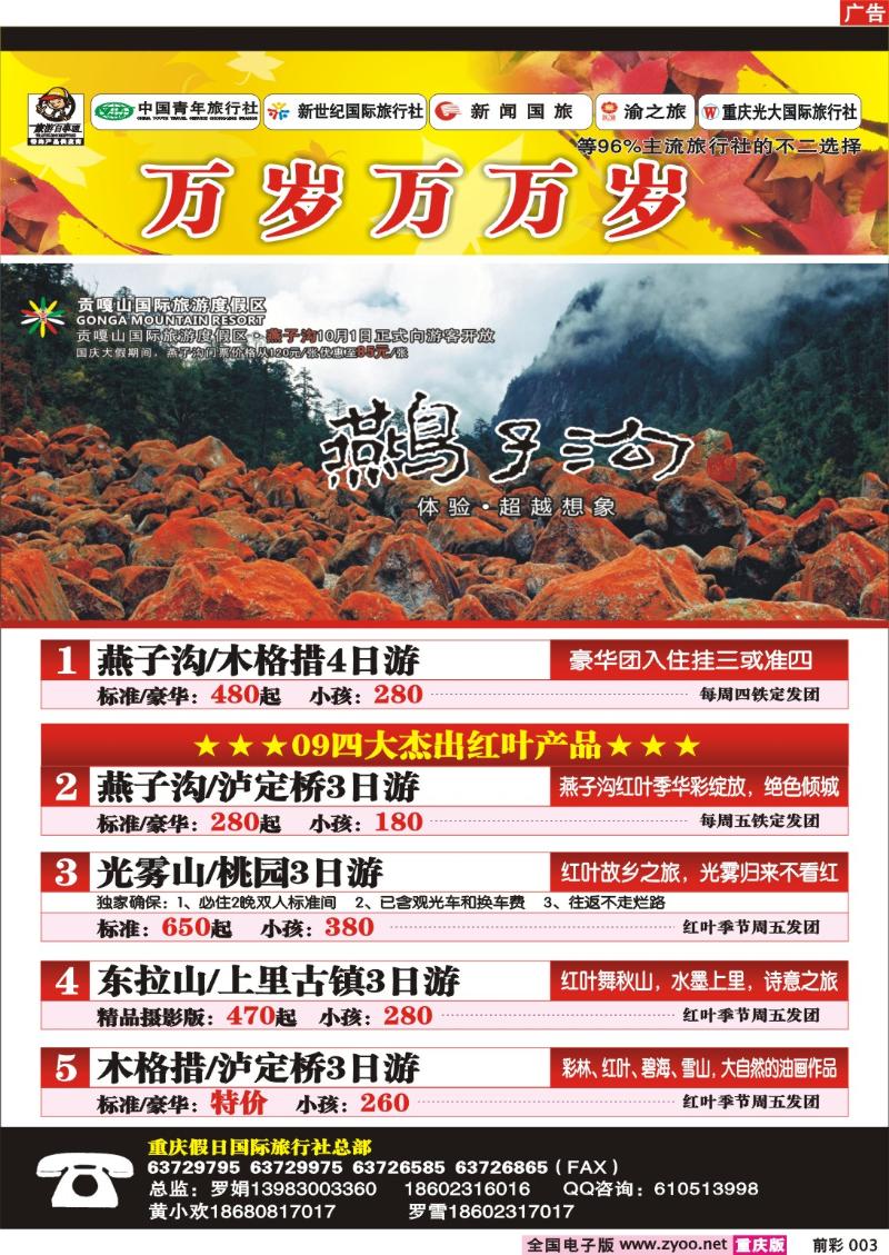 003  250期  假日张平