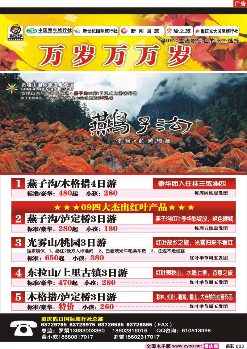 003  251期  假日张平