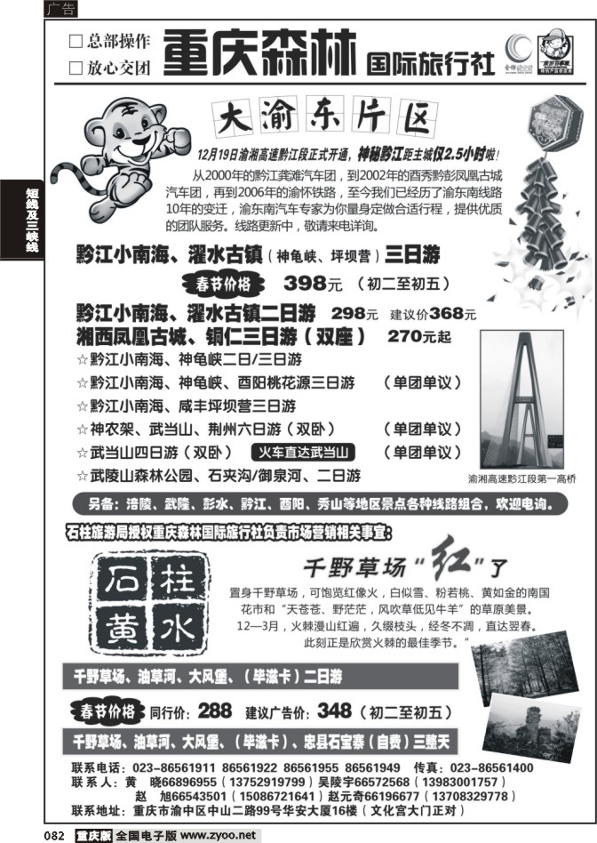 082  265期  森林