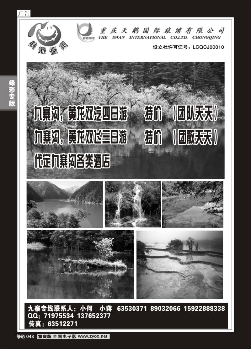 048 279期天鹅