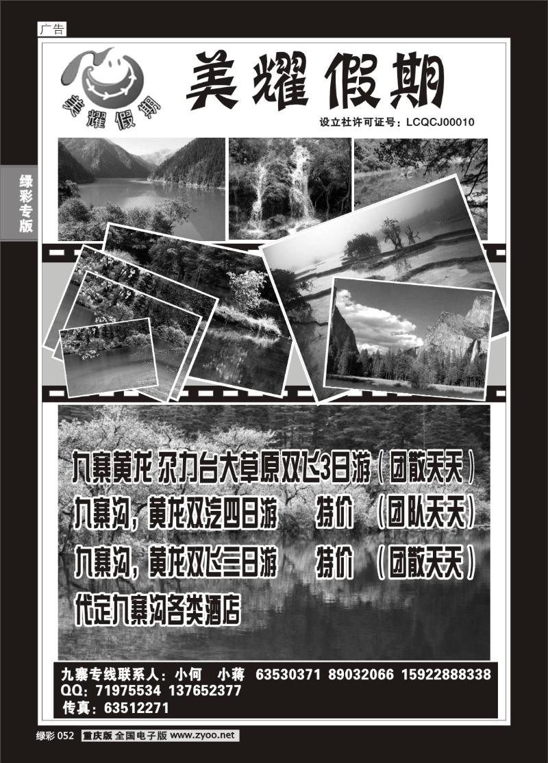 052 282期天鹅