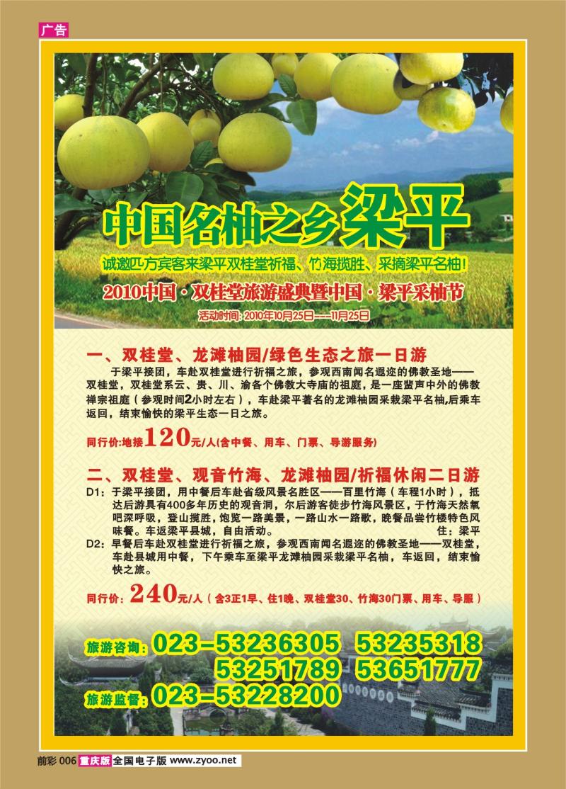 006   300期    梁平采柚节