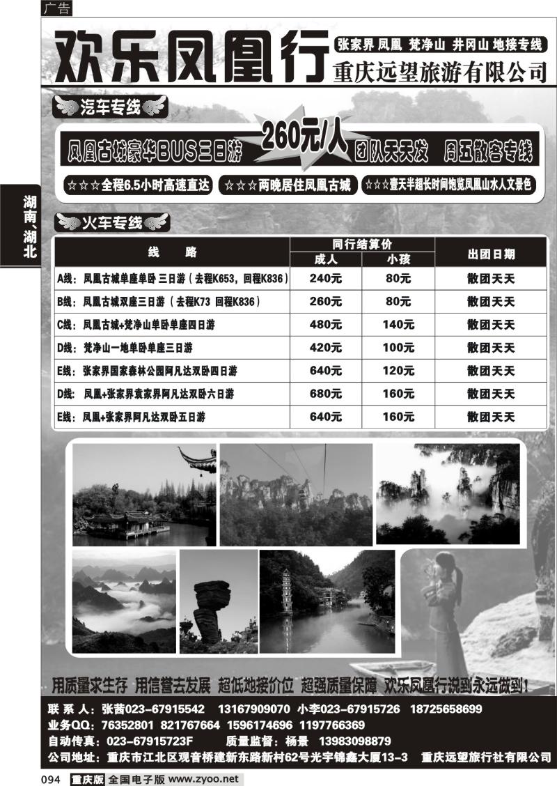 094 304 欢乐凤凰