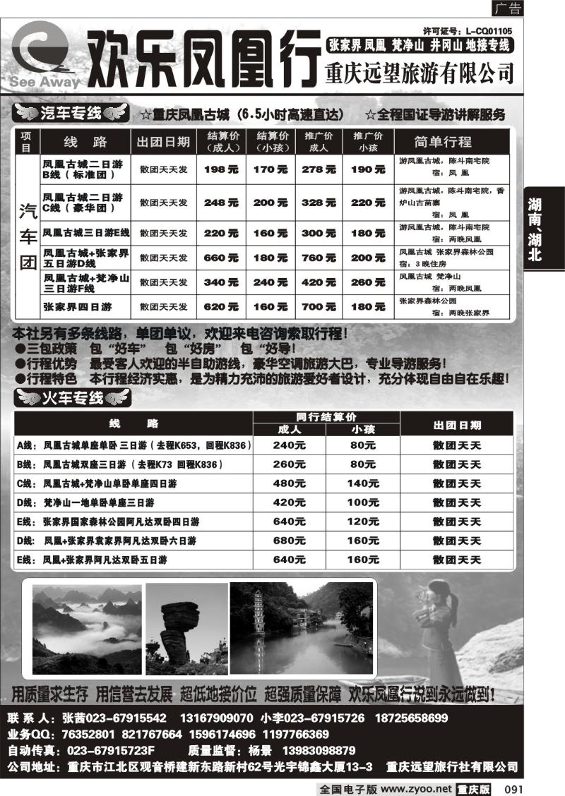 091 307 欢乐凤凰