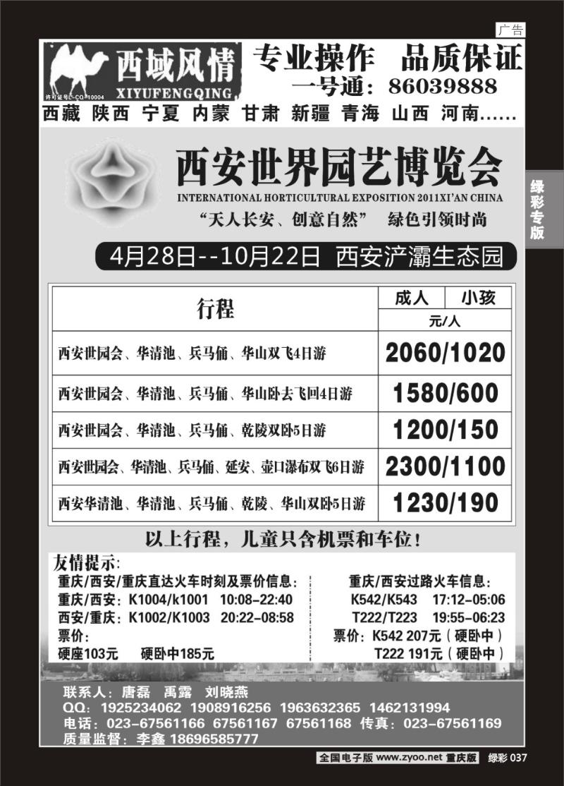 037 绿彩 326  x西域风情—西安