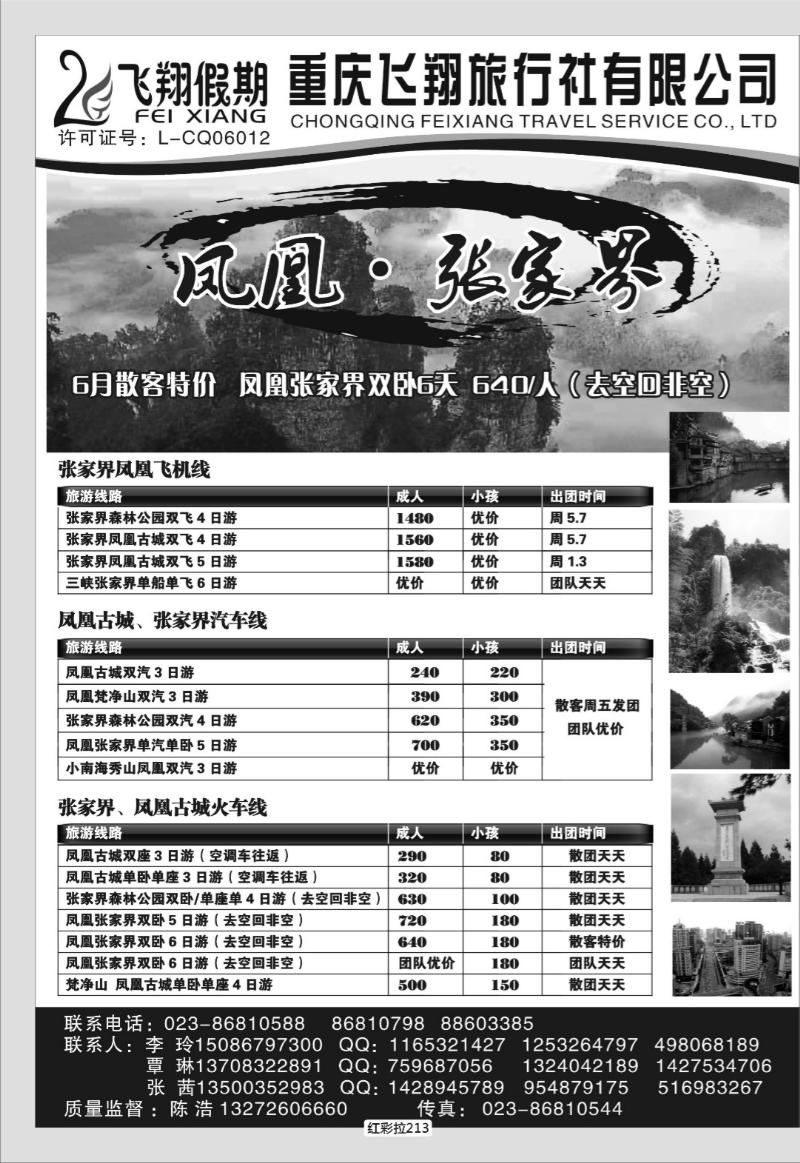 红彩拉213   330 飞翔-凤凰