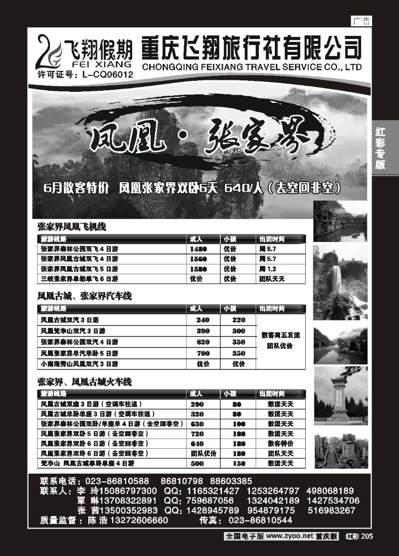 205  飞翔-凤凰