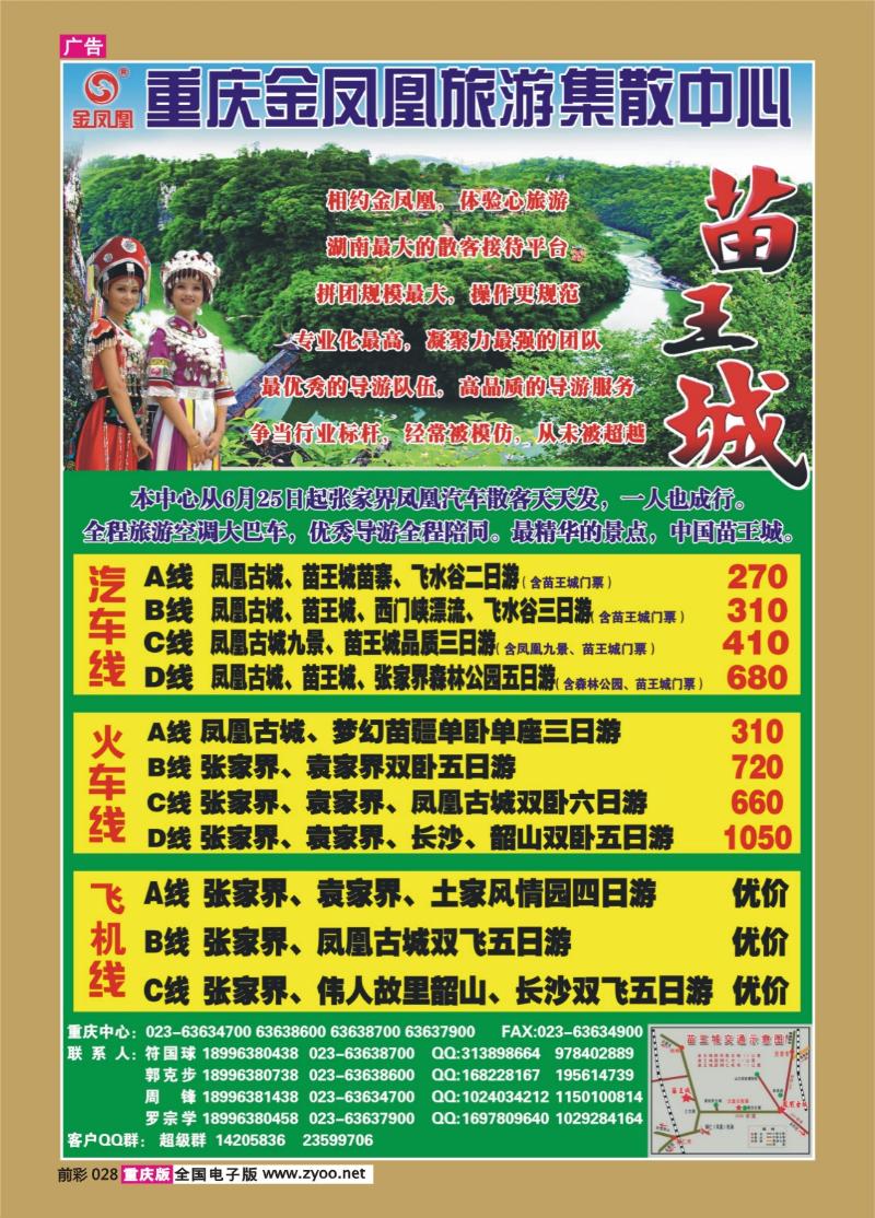 028   331  金凤凰
