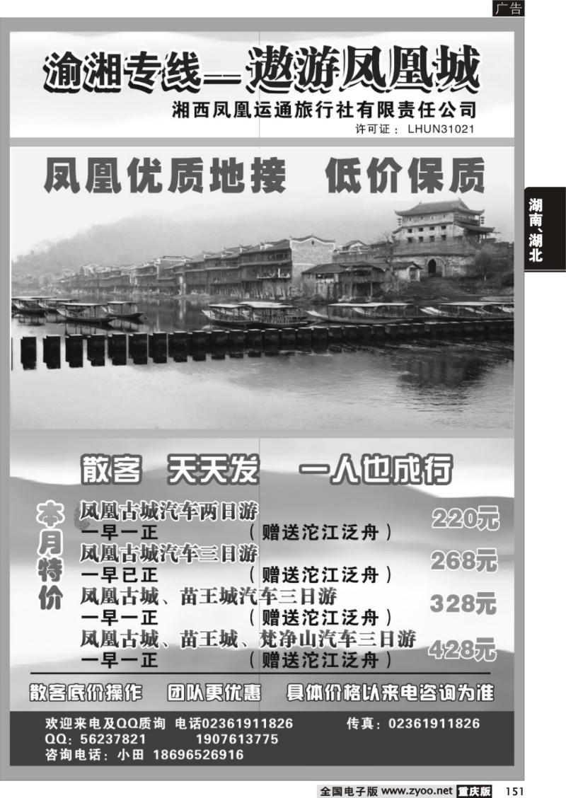 151 336凤凰运通