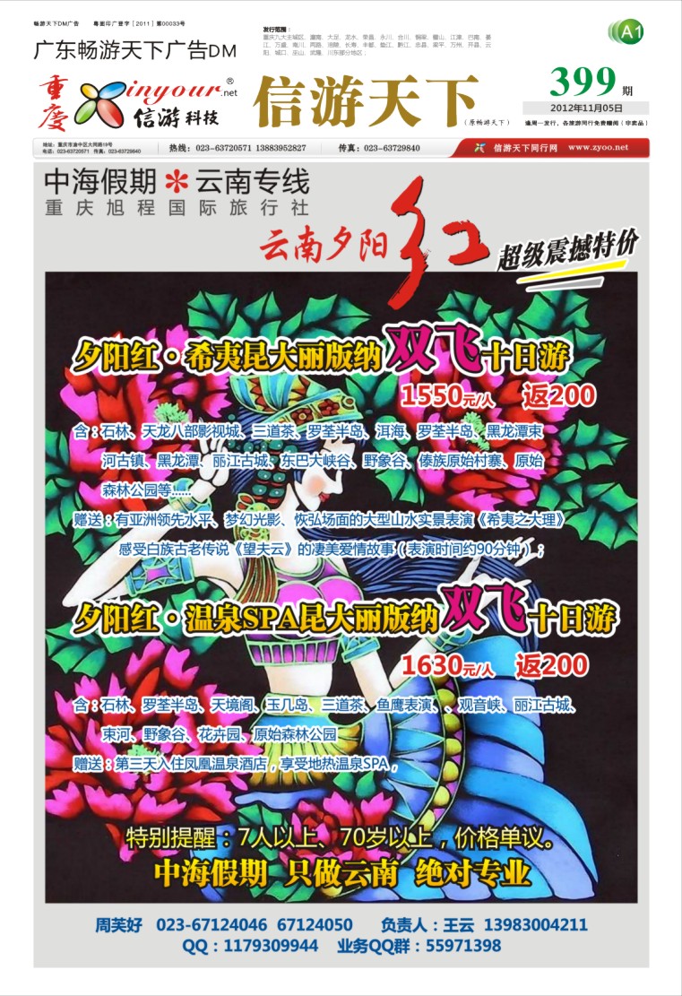 报刊(A1)