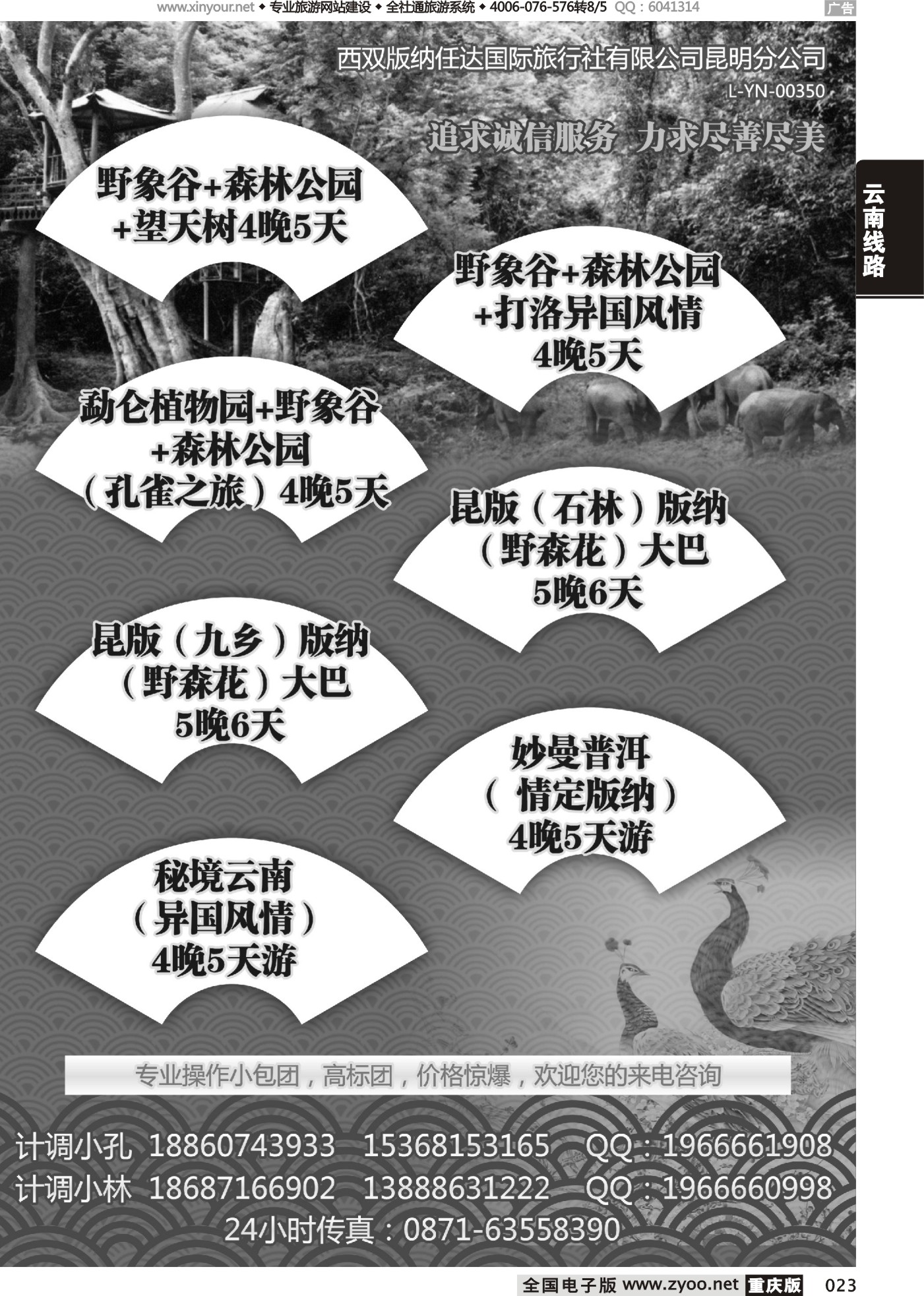 黑白023西双版纳任达国际旅行社有限公司昆明分公司
