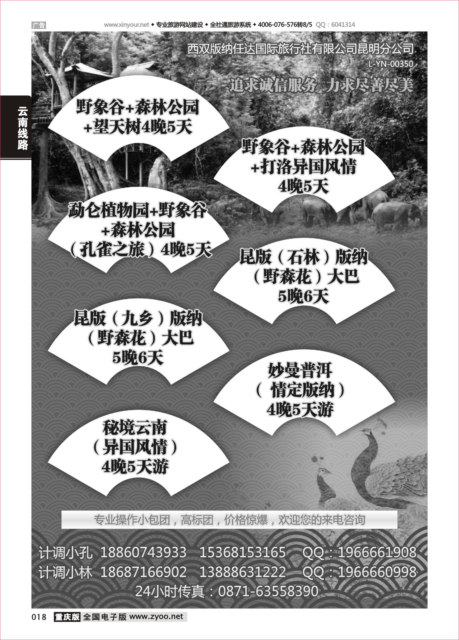 018 西双版纳任达国际旅行社有限公司昆明分公司