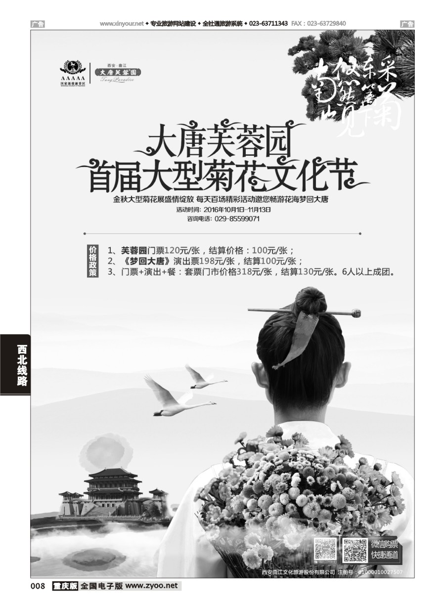 黑白008 595 曲江文旅 