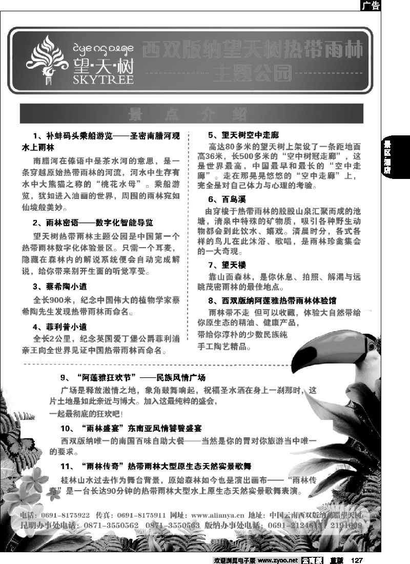 省内127  西双版纳望天树