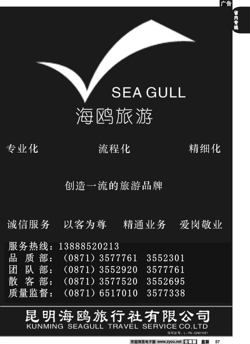 省内037  海鸥旅行社有限公司-形象广告