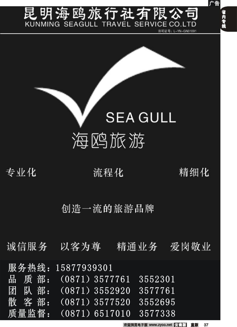 省内037  海鸥旅行社有限公司-形象广告