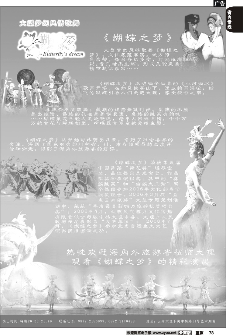 省内073  大理风花雪月文化有限公司-大型梦幻风情歌舞-蝴蝶之梦