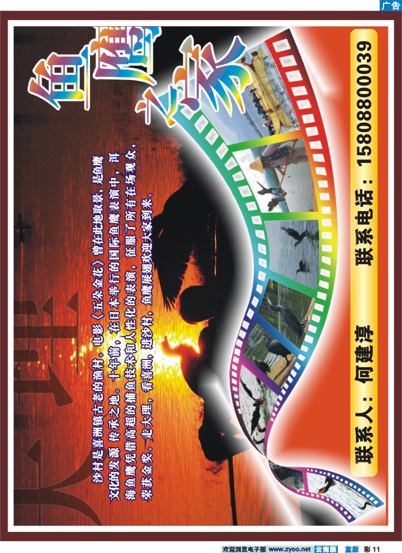 蓝彩11 大理鱼鹰之家