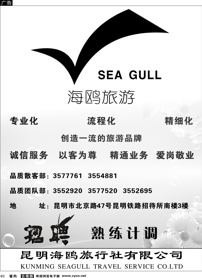 省内040  海鸥旅行社有限公司 形象宣传1