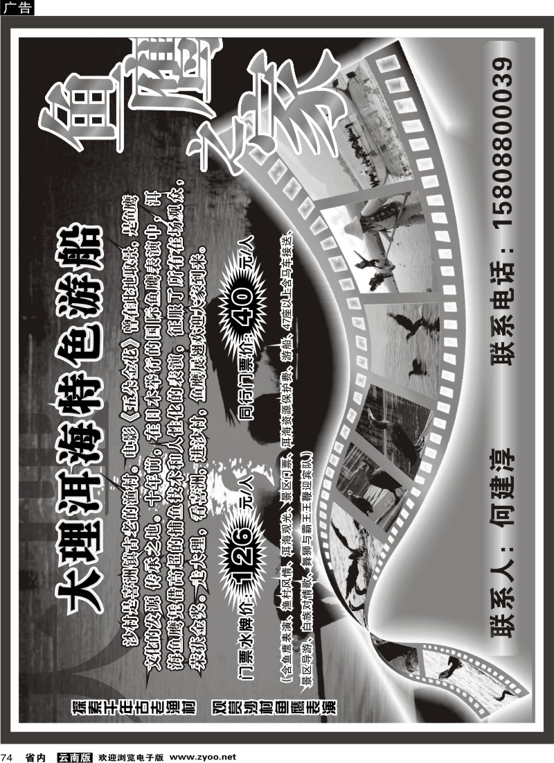 省内074  大理鱼鹰之家1