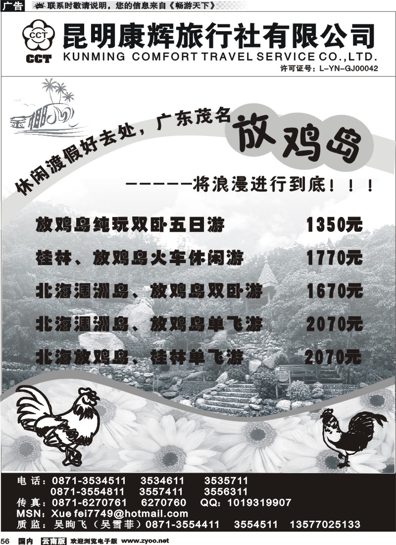 国内056 昆明康辉（铁路411）金椰风 放鸡岛线1