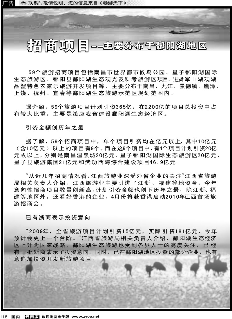国内118 招商项目