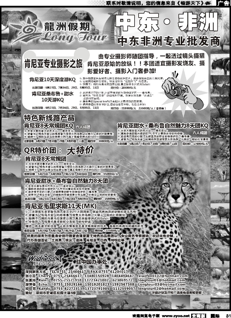 031 龙洲假期-非洲中东专线
