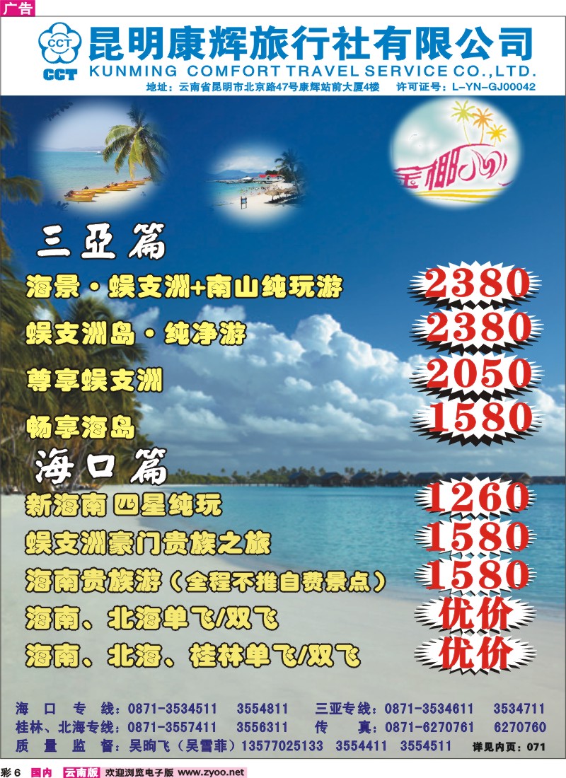 红彩006 金椰风