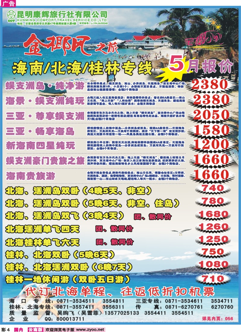 红彩004 金椰风