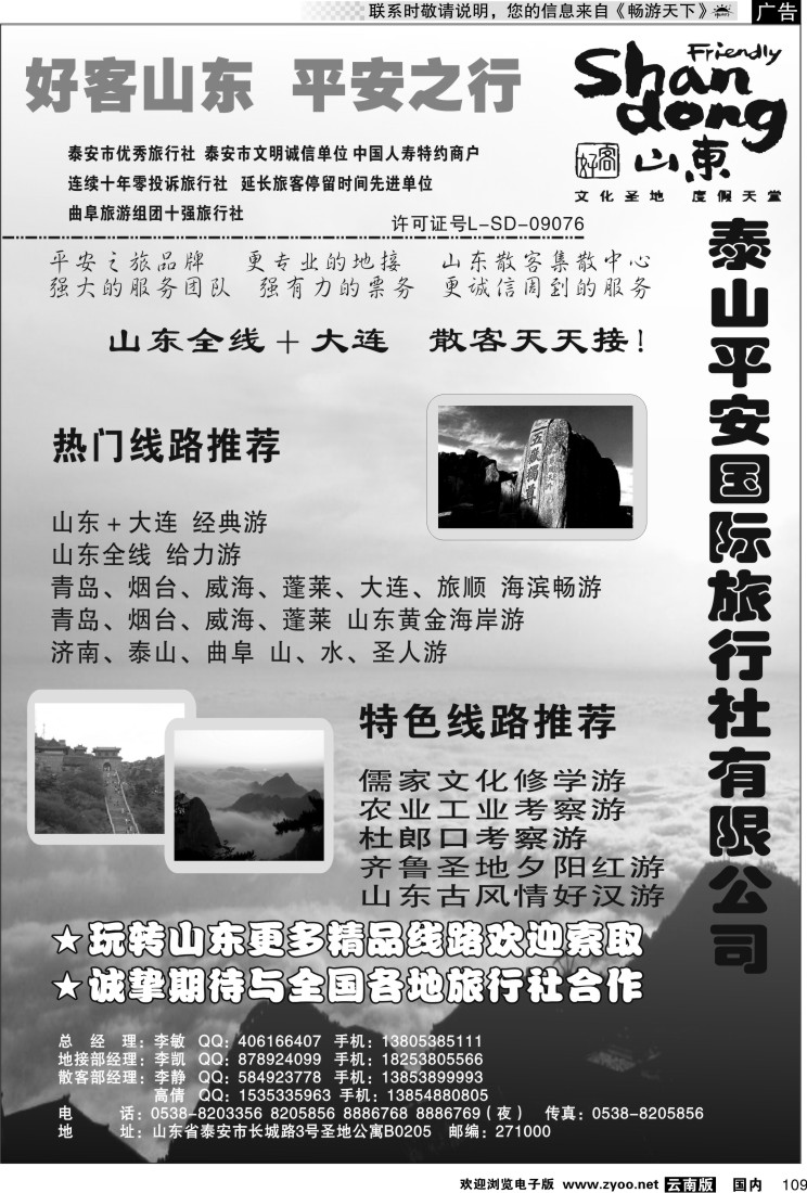 国内109 泰山平安国际旅行社有限公司