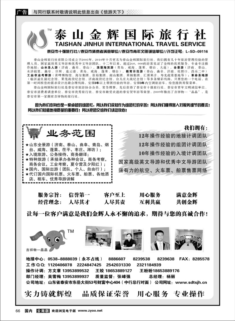 国内066 泰山金辉