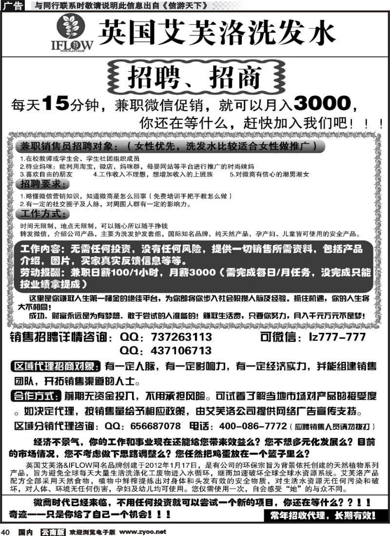 国内040 艾芙洛招聘招商