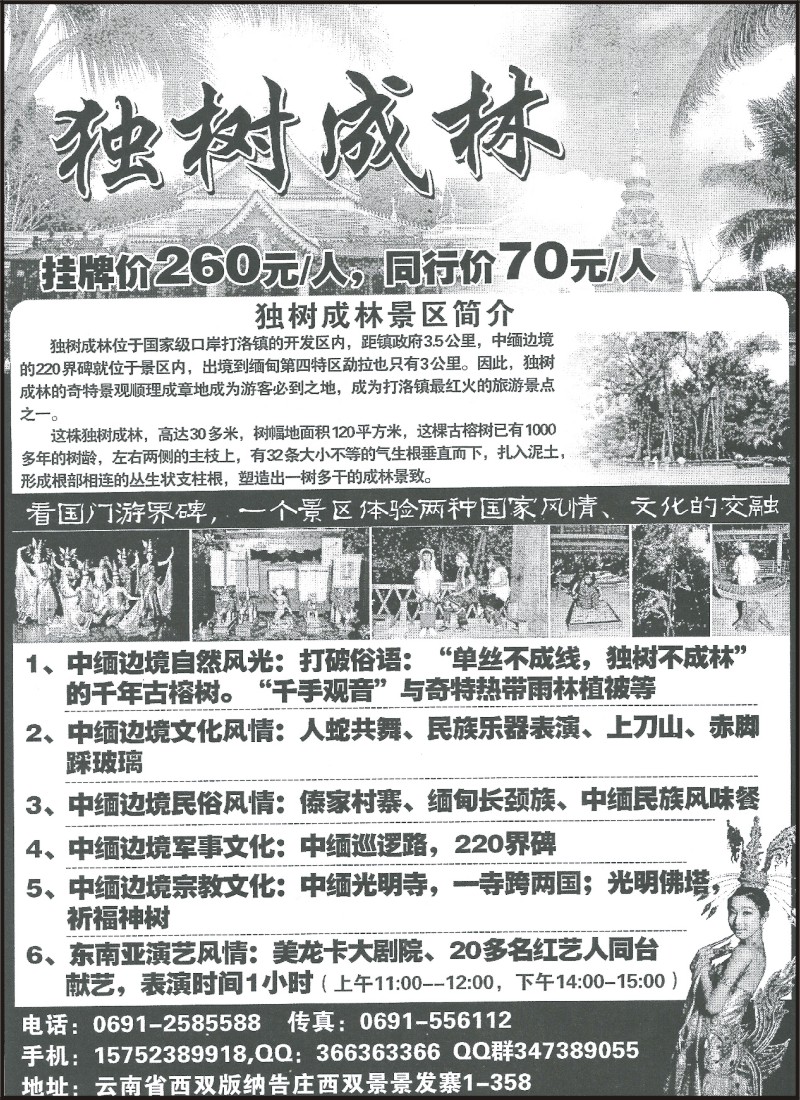 省内132 独树成林风景区