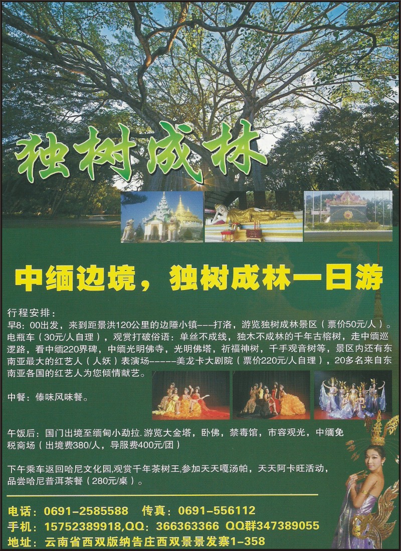 彩047 中缅边境，独树成林一日游