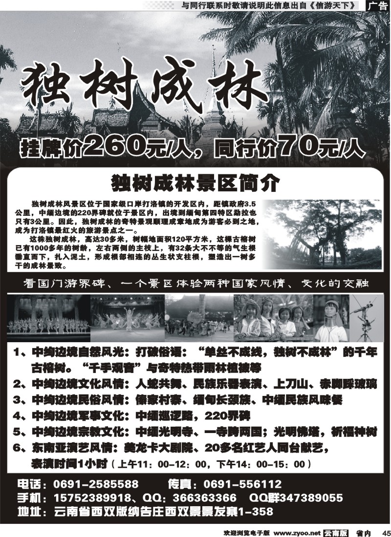 省内045 独树成林景区