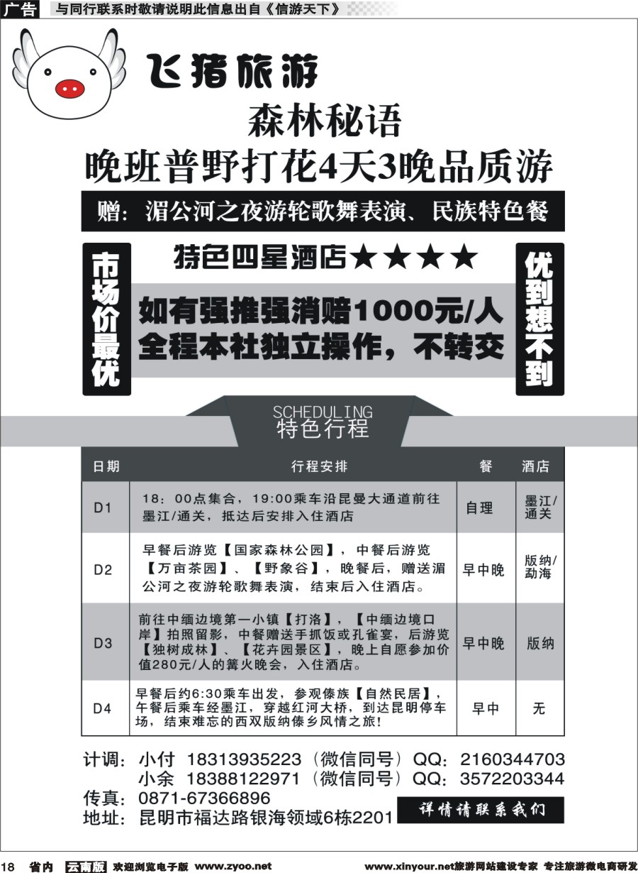省内018 飞猪旅游—版纳专线