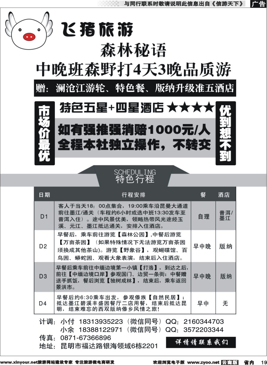 省内019 飞猪旅游—版纳专线