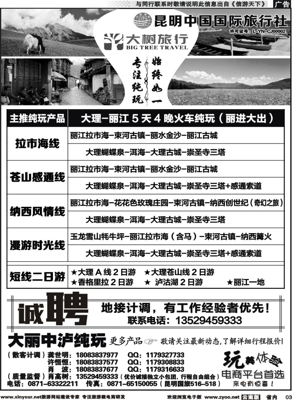 r003 昆明中国国旅-大树旅行-大丽专线