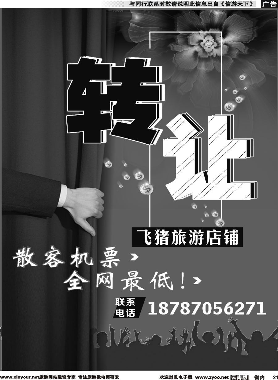 r021 飞猪旅游店铺-转让