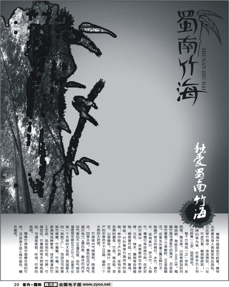 b20 蜀南竹海