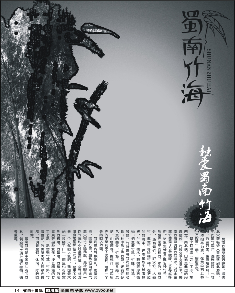0a14 蜀南竹海