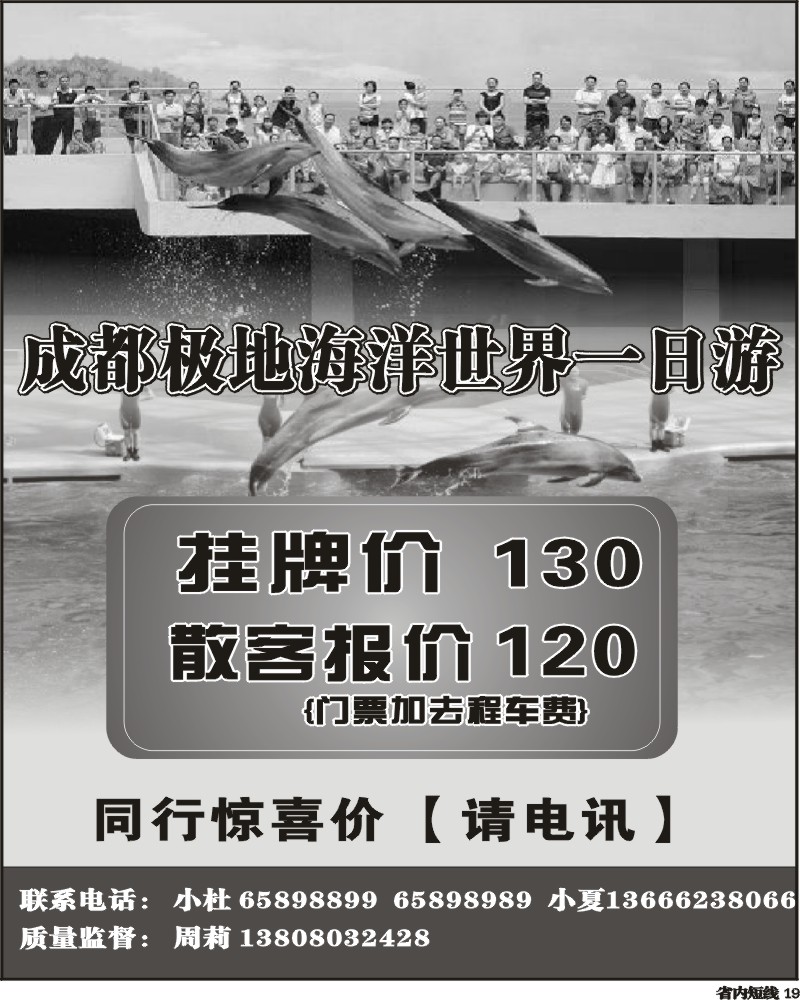 b19  成都极地海洋