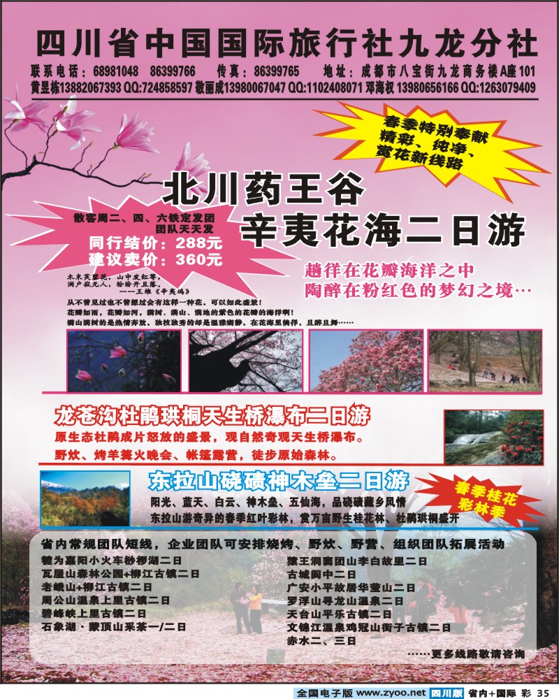 0b彩35  省国旅-辛夷花