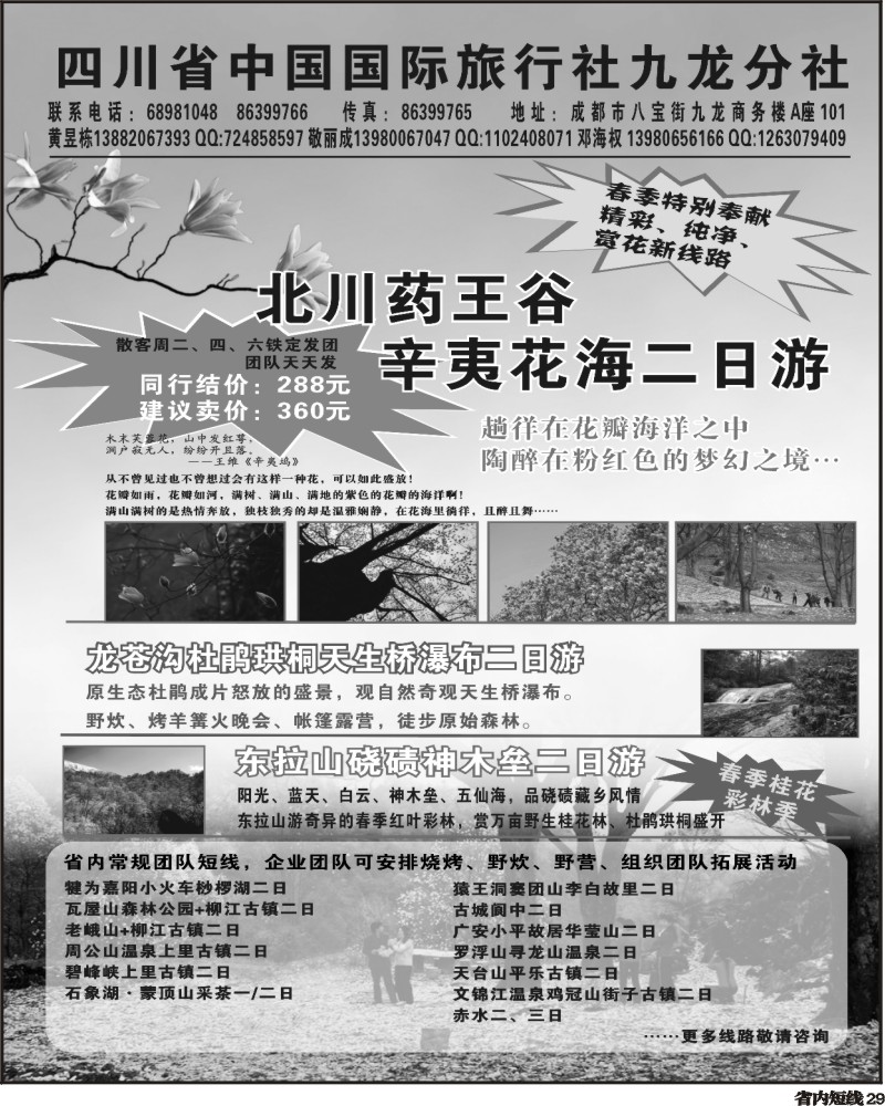 b29  省国旅 辛夷花